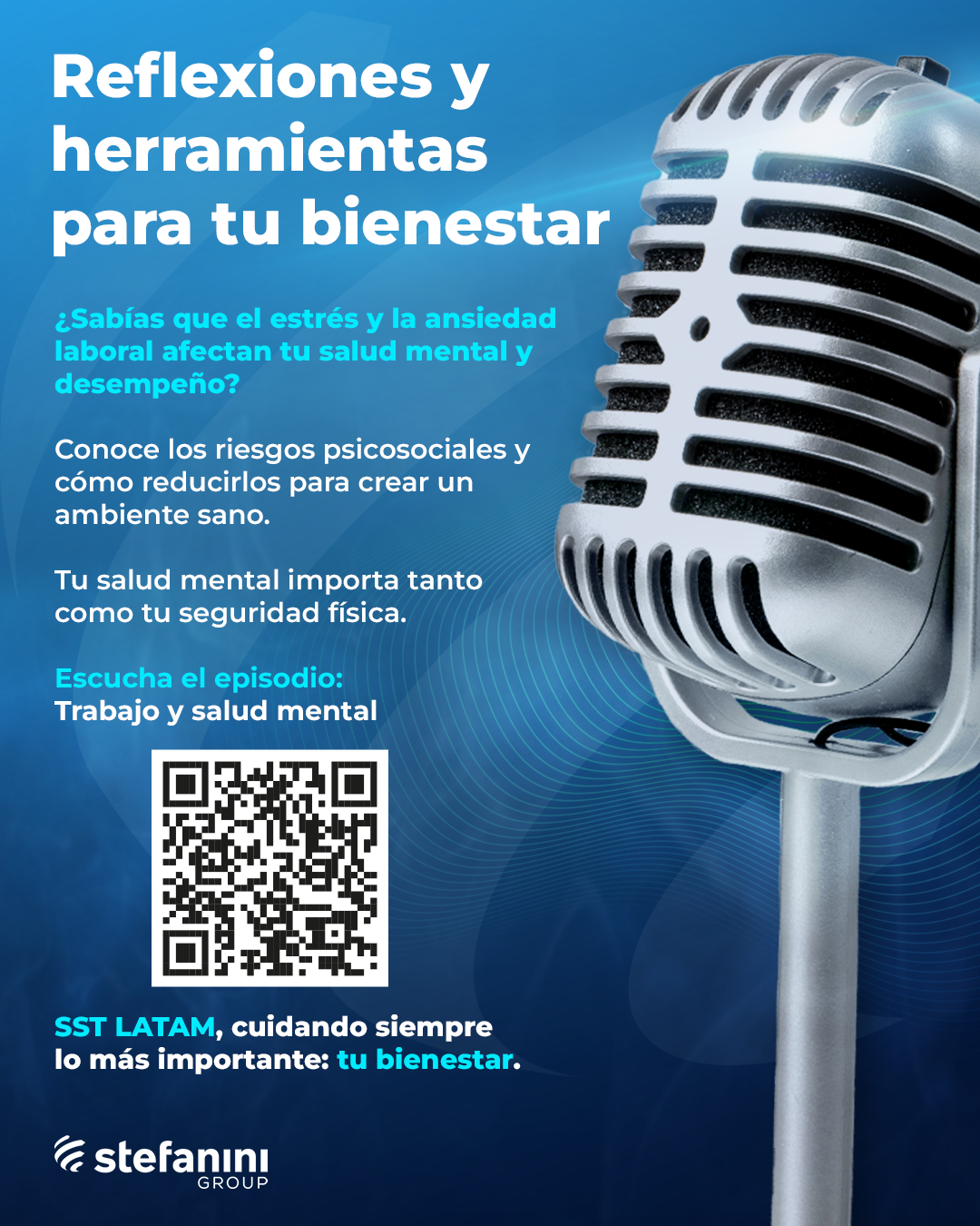 portafolio stefanini sst freelance ricardus 1